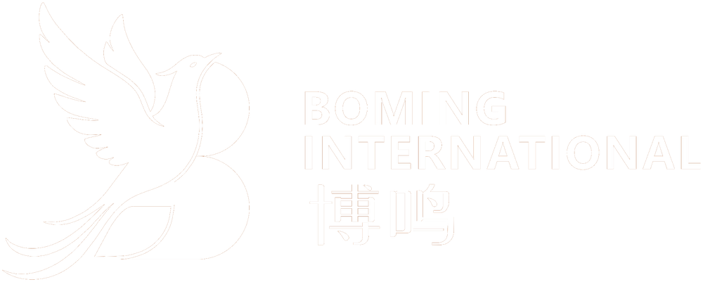 Concept 04 mark: a bird rising from the letter B, white on bronze